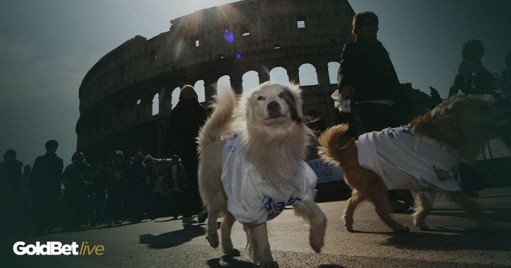 anche glia mici a quattro zampe potranno partecipare alla stracittadina